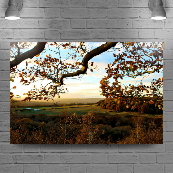 Canvas Art. English Landscapes & Nature. Rotherham. South Yorkshire. England.