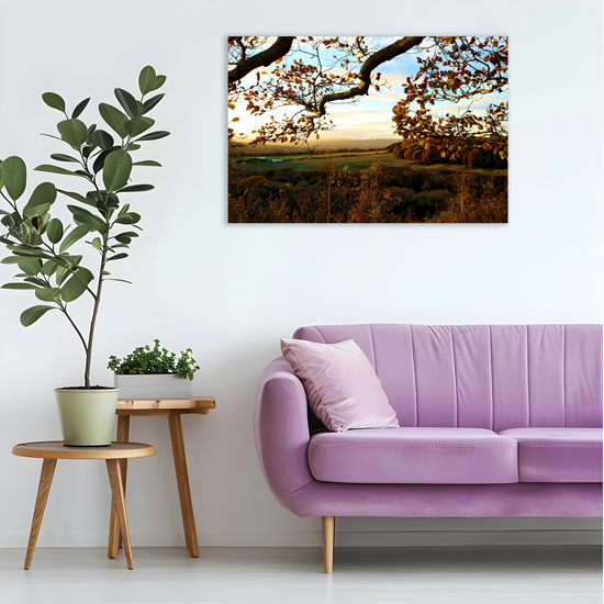 Canvas Art. English Landscapes & Nature. Rotherham. South Yorkshire. England.