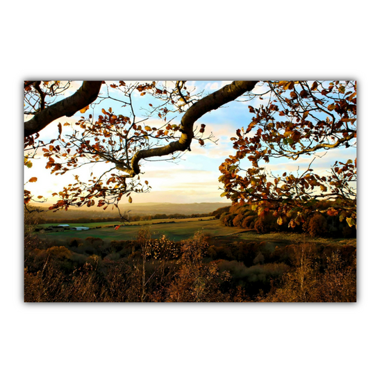 Canvas Art. English Landscapes & Nature. Rotherham. South Yorkshire. England.