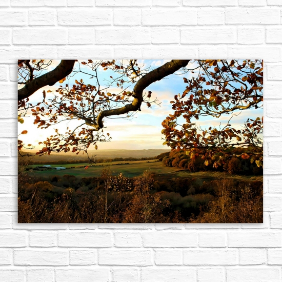 Canvas Art. English Landscapes & Nature. Rotherham. South Yorkshire. England.