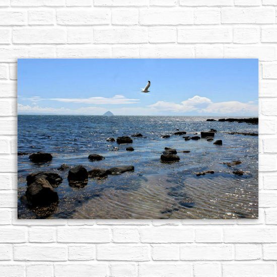 Canvas Art. Scottish Landscapes & Seascapes. Kildonan Beach. Ailsa Craig. Isle of Arran. Scotland.