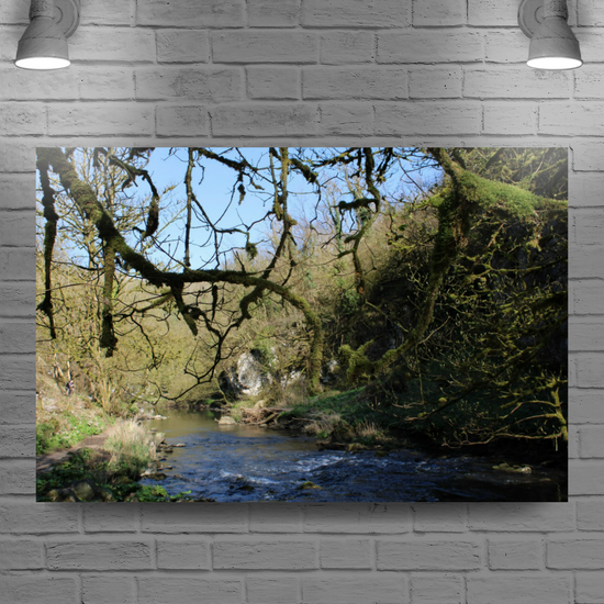 Canvas Art. English Landscapes & Riverscapes. Chee Dale Nature Reserve. Peak District National Park. England.