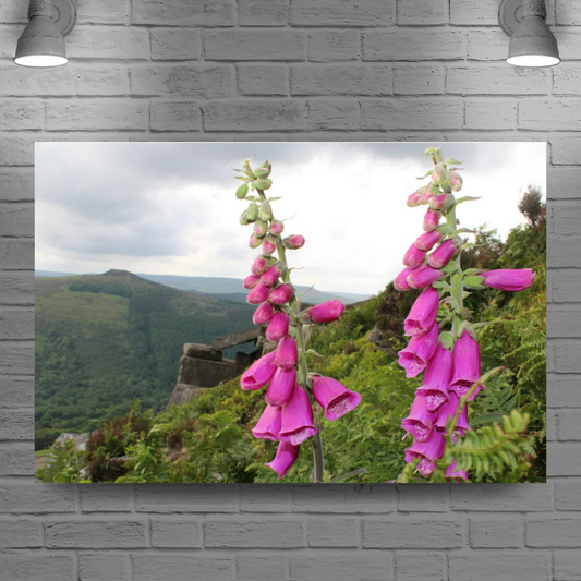 Canvas Art. English Landscapes & Riverscapes. Bamford Edge. Peak District National Park. England.