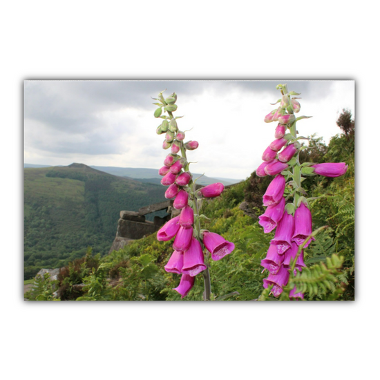 Canvas Art. English Landscapes & Riverscapes. Bamford Edge. Peak District National Park. England.