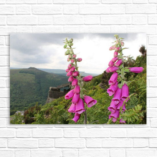 Canvas Art. English Landscapes & Riverscapes. Bamford Edge. Peak District National Park. England.