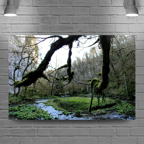 Canvas Art. English Landscapes & Riverscapes. Chee Dale Nature Reserve. Peak District National  Park. England.