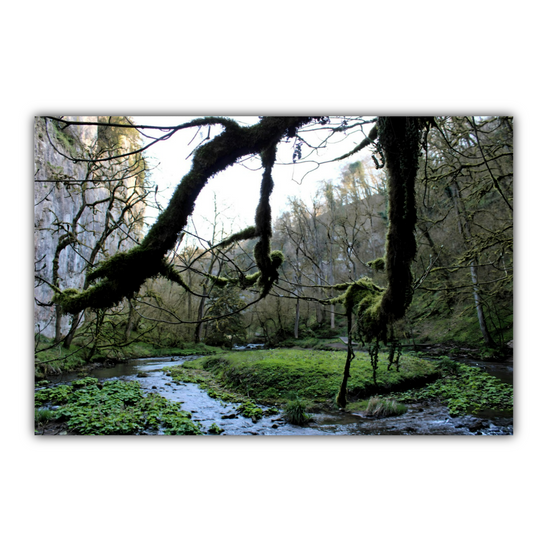 Canvas Art. English Landscapes & Riverscapes. Chee Dale Nature Reserve. Peak District National  Park. England.