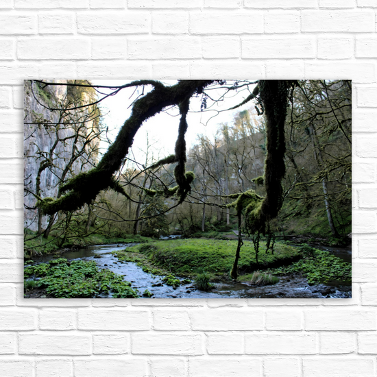 Canvas Art. English Landscapes & Riverscapes. Chee Dale Nature Reserve. Peak District National  Park. England.