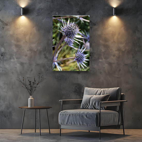 Canvas Art. Scottish Landscapes & Nature. Mediterranean Sea Holly Flower. Brodick Castle Gardens. Isle of Arran. Scotland.