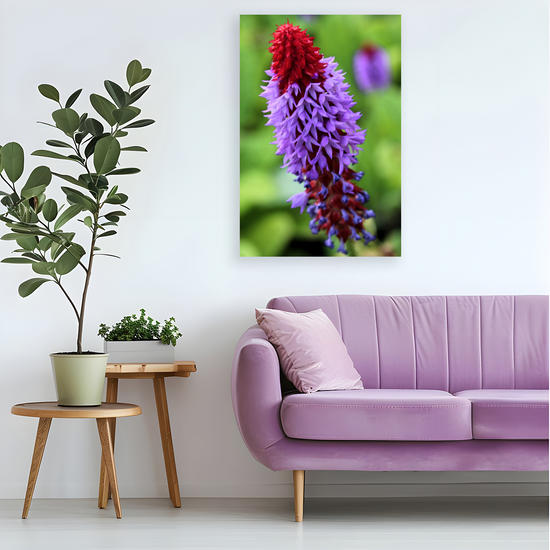 Canvas Art. Scottish Landscapes & Nature. Primula Vialii  Flower. Brodick Castle Gardens. Isle of Arran. Scotland.