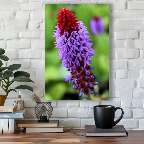 Canvas Art. Scottish Landscapes & Nature. Primula Vialii  Flower. Brodick Castle Gardens. Isle of Arran. Scotland.