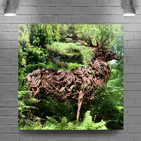 Canvas Art. Scottish Landscapes &  Nature. Brodick Castle Gardens. Isle of Arran. Scotland.