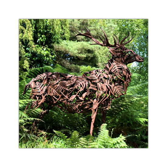 Canvas Art. Scottish Landscapes &  Nature. Brodick Castle Gardens. Isle of Arran. Scotland.