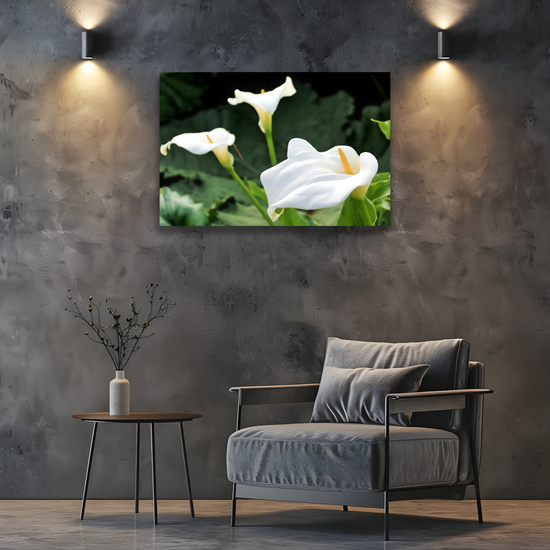 Canvas Art. Scottish Landscapes & Nature. Calla Lily Flower. Brodick Castle Gardens. Isle of Arran.  Scotland.
