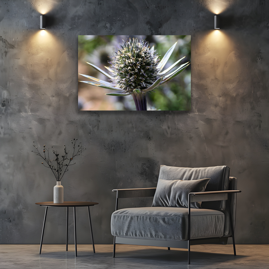 Canvas Art. Scottish Landscapes & Nature. Mediterranean Sea Holly Flower. Brodick Castle Gardens. Isle of Arran. Scotland.