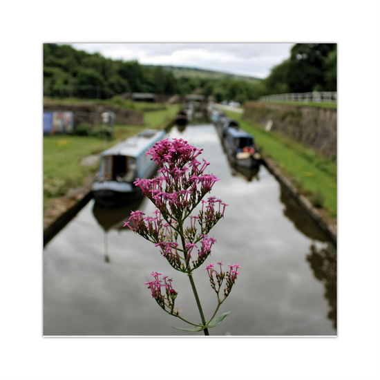 Canvas Art. English Landscapes & Riverscapes. Bugsworth Canal Basin. Buxworth. Derbyshire. England.