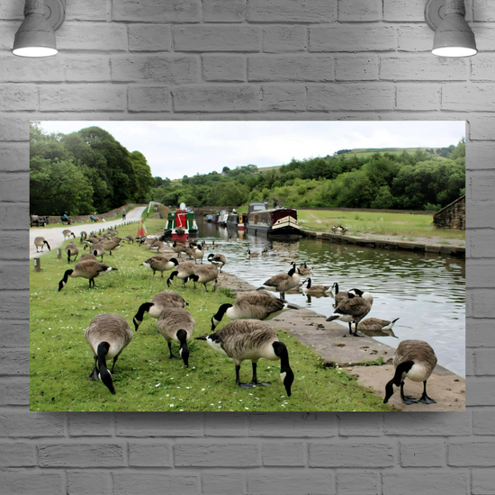 Canvas Art. English Landscapes & Seascapes. Bugsworth Canal Basin. Buxworth. Derbyshire. England.
