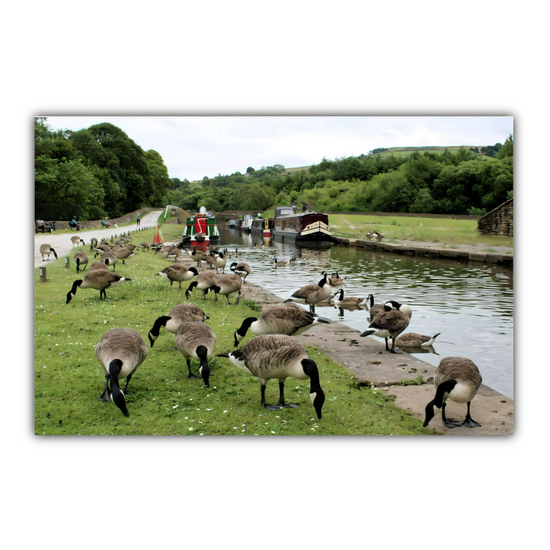 Canvas Art. English Landscapes & Seascapes. Bugsworth Canal Basin. Buxworth. Derbyshire. England.