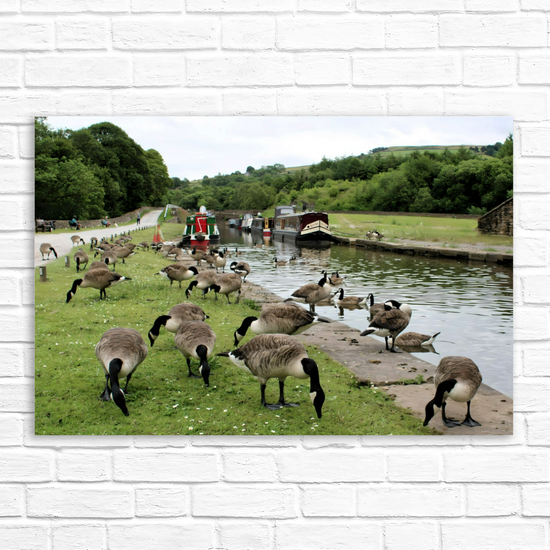 Canvas Art. English Landscapes & Seascapes. Bugsworth Canal Basin. Buxworth. Derbyshire. England.