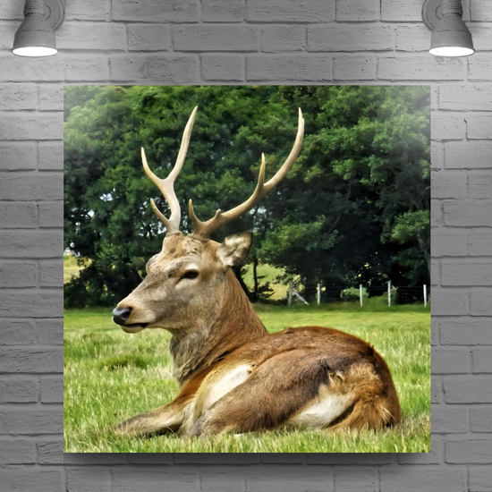 Canvas Art. Scottish Landscapes & Nature. Lochranza. Isle of Arran. Scotland.