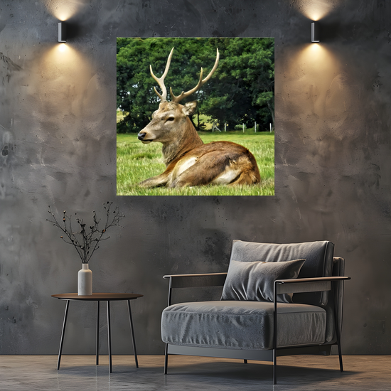 Canvas Art. Scottish Landscapes & Nature. Lochranza. Isle of Arran. Scotland.