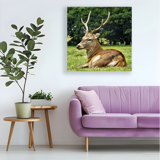 Canvas Art. Scottish Landscapes & Nature. Lochranza. Isle of Arran. Scotland.