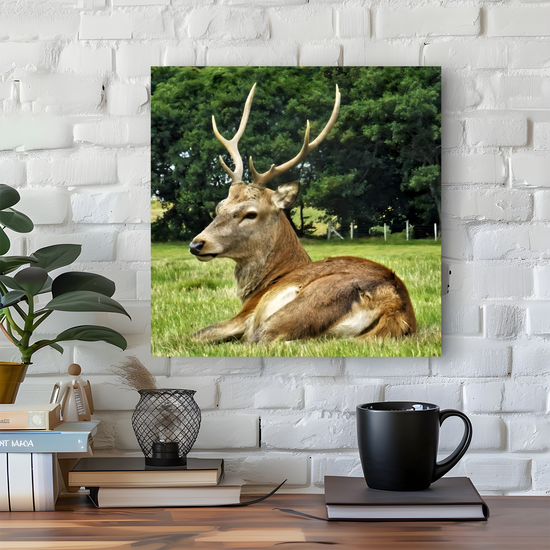 Canvas Art. Scottish Landscapes & Nature. Lochranza. Isle of Arran. Scotland.