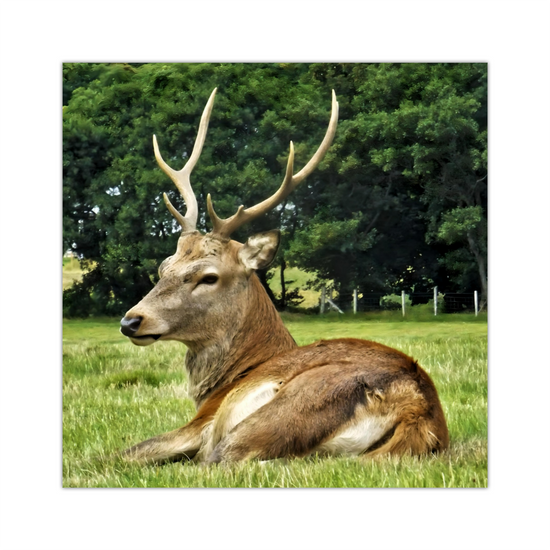 Canvas Art. Scottish Landscapes & Nature. Lochranza. Isle of Arran. Scotland.