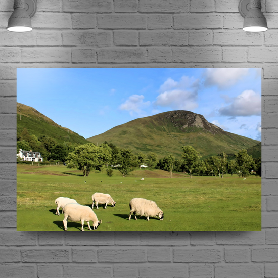 Canvas Art. Scottish Landscapes & Nature. Lochranza. Isle of Arran. Scotland.