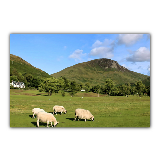 Canvas Art. Scottish Landscapes & Nature. Lochranza. Isle of Arran. Scotland.