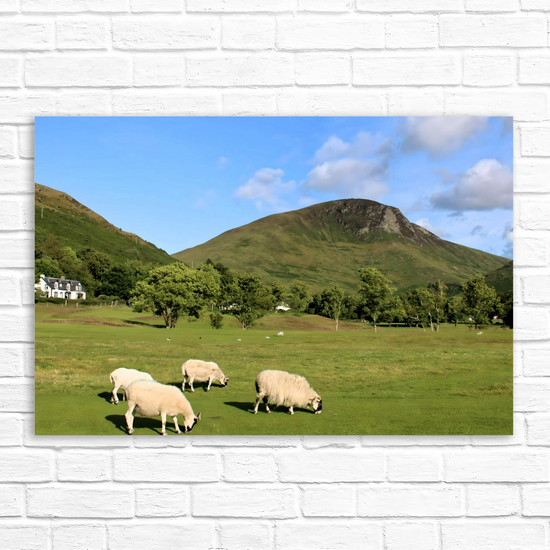 Canvas Art. Scottish Landscapes & Nature. Lochranza. Isle of Arran. Scotland.
