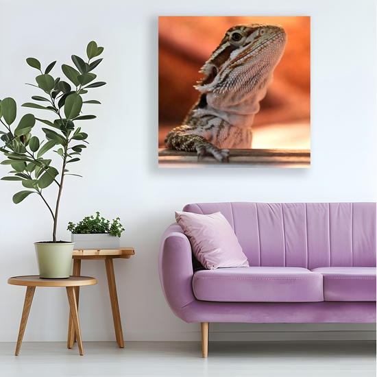 Canvas Art. Bulgarian Landscapes & Nature. Bearded Dragon. Varna. Bulgaria.