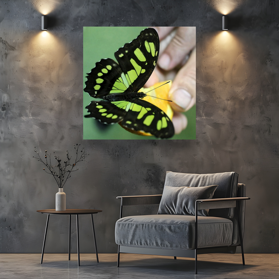 Canvas Art. Bulgarian Landscapes & Nature. Butterfly House. Varna. Bulgaria.