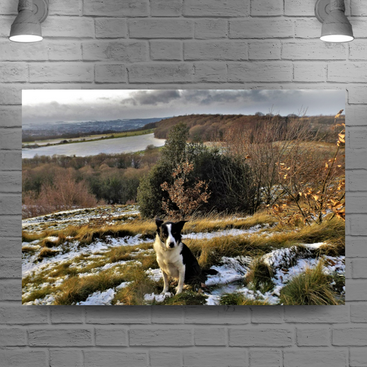Canvas Art. English Landscapes & Nature. Rotherham. South Yorkshire. England.