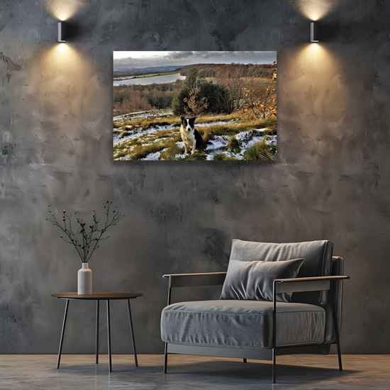 Giclée Mounted Wall Art Prints. Rotherham. South Yorkshire. England.