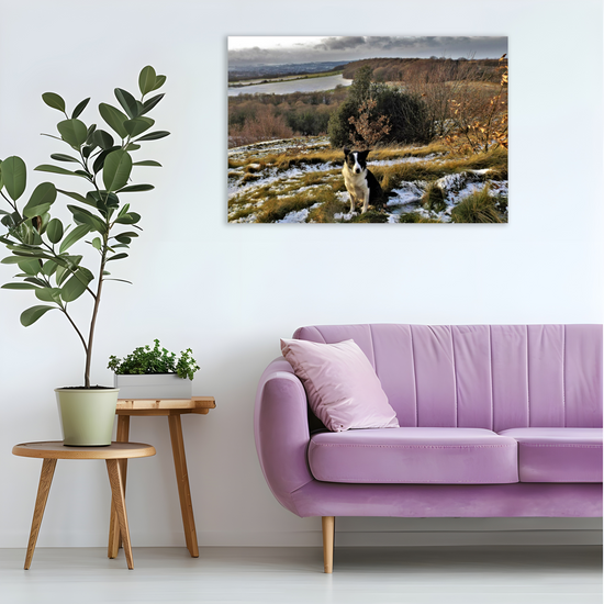 Giclée Mounted Wall Art Prints. Rotherham. South Yorkshire. England.