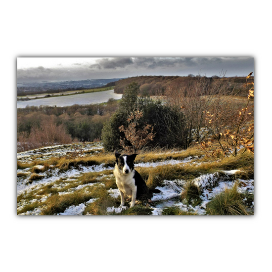 Giclée Mounted Wall Art Prints. Rotherham. South Yorkshire. England.