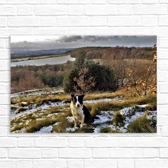 Giclée Mounted Wall Art Prints. Rotherham. South Yorkshire. England.