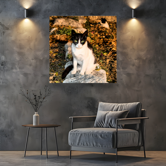 Canvas Art. Grecian Cityscapes & Nature. Street Cats. Rhodes Medieval Town. Greece.