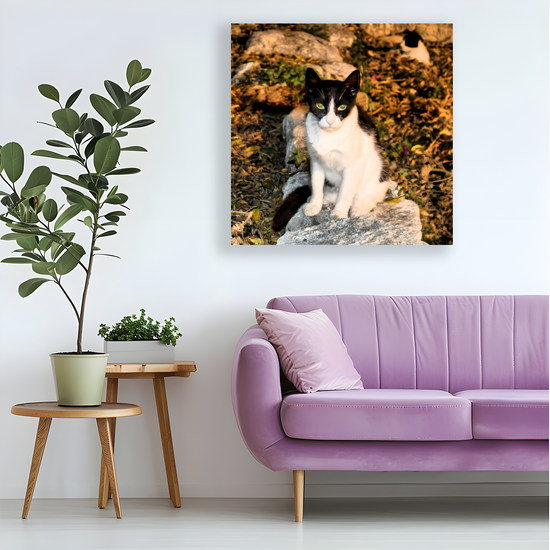 Canvas Art. Grecian Cityscapes & Nature. Street Cats. Rhodes Medieval Town. Greece.
