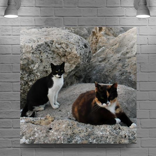 Canvas Art. Grecian Seascapes & Nature. Rhodes. Greece.