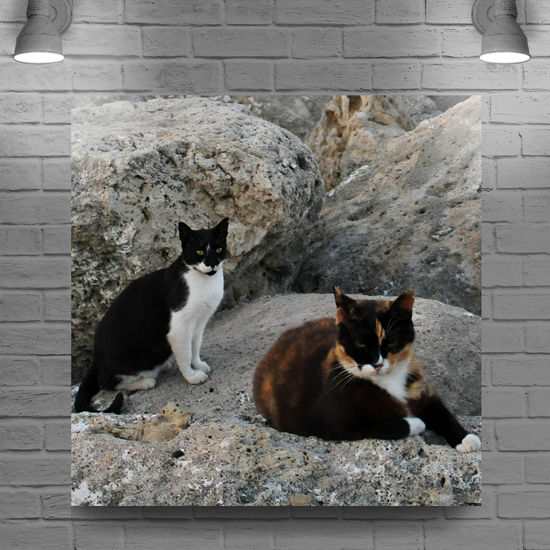 Canvas Art. Grecian Seascapes & Nature. Rhodes. Greece.