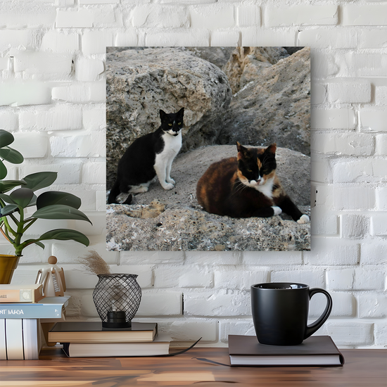 Canvas Art. Grecian Seascapes & Nature. Rhodes. Greece.