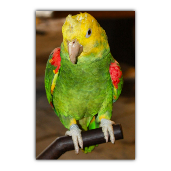 Canvas Art. Grecian Cityscapes & Nature. Rhodes Medieval Town. Greece.