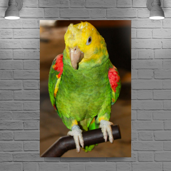 Canvas Art. Grecian Cityscapes & Nature. Rhodes Medieval Town. Greece.