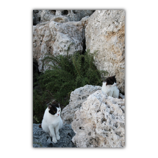 Canvas Art. Grecian Seascapes & Nature. Rhodes. Greece.