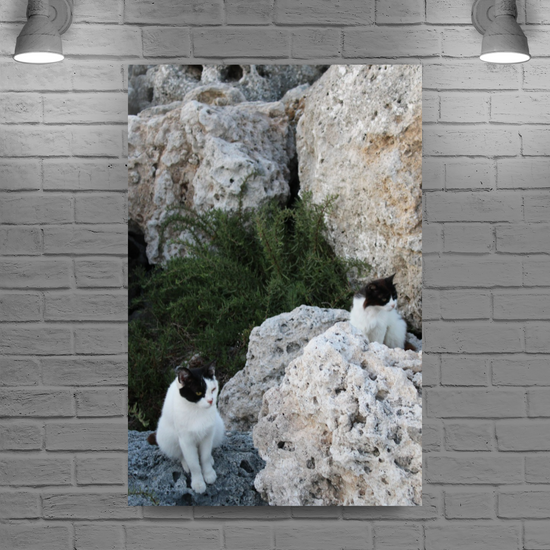 Canvas Art. Grecian Seascapes & Nature. Rhodes. Greece.