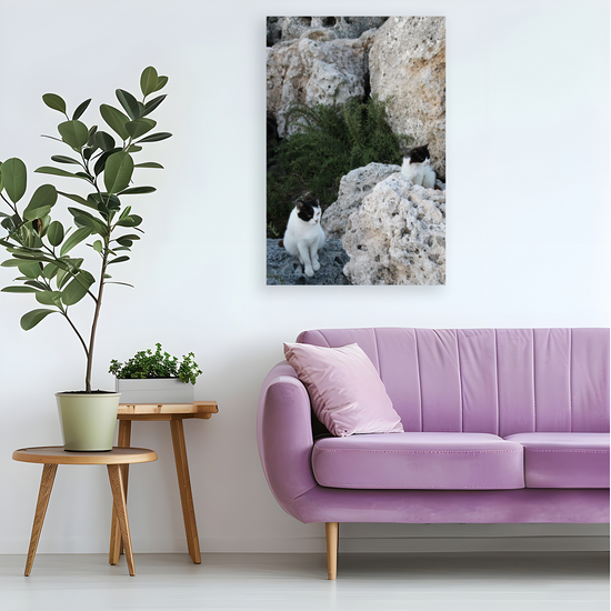 Canvas Art. Grecian Seascapes & Nature. Rhodes. Greece.