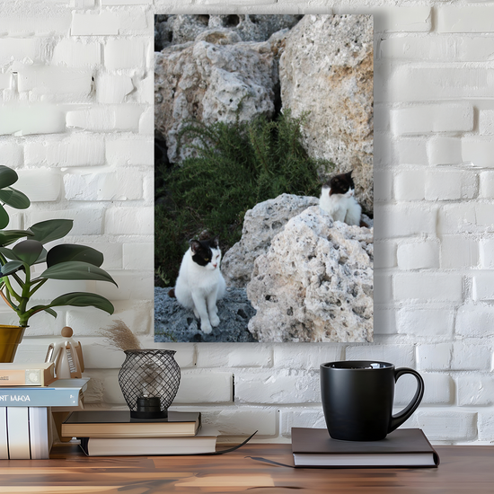 Canvas Art. Grecian Seascapes & Nature. Rhodes. Greece.