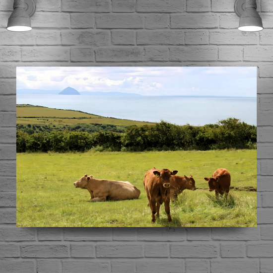 Canvas Art. Scottish Landscapes & Seascapes. Sliddery. Ailsa Craig View. Isle of Arran. Scotland.